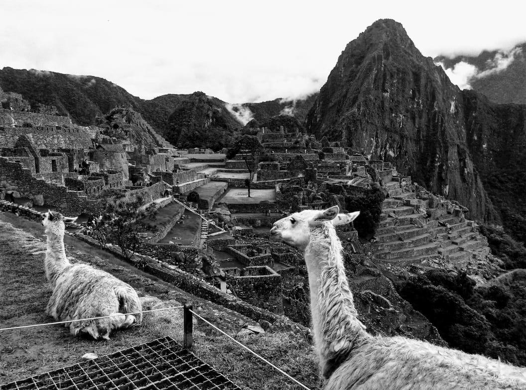 Hotel Picos House Machu Picchu Exterior foto